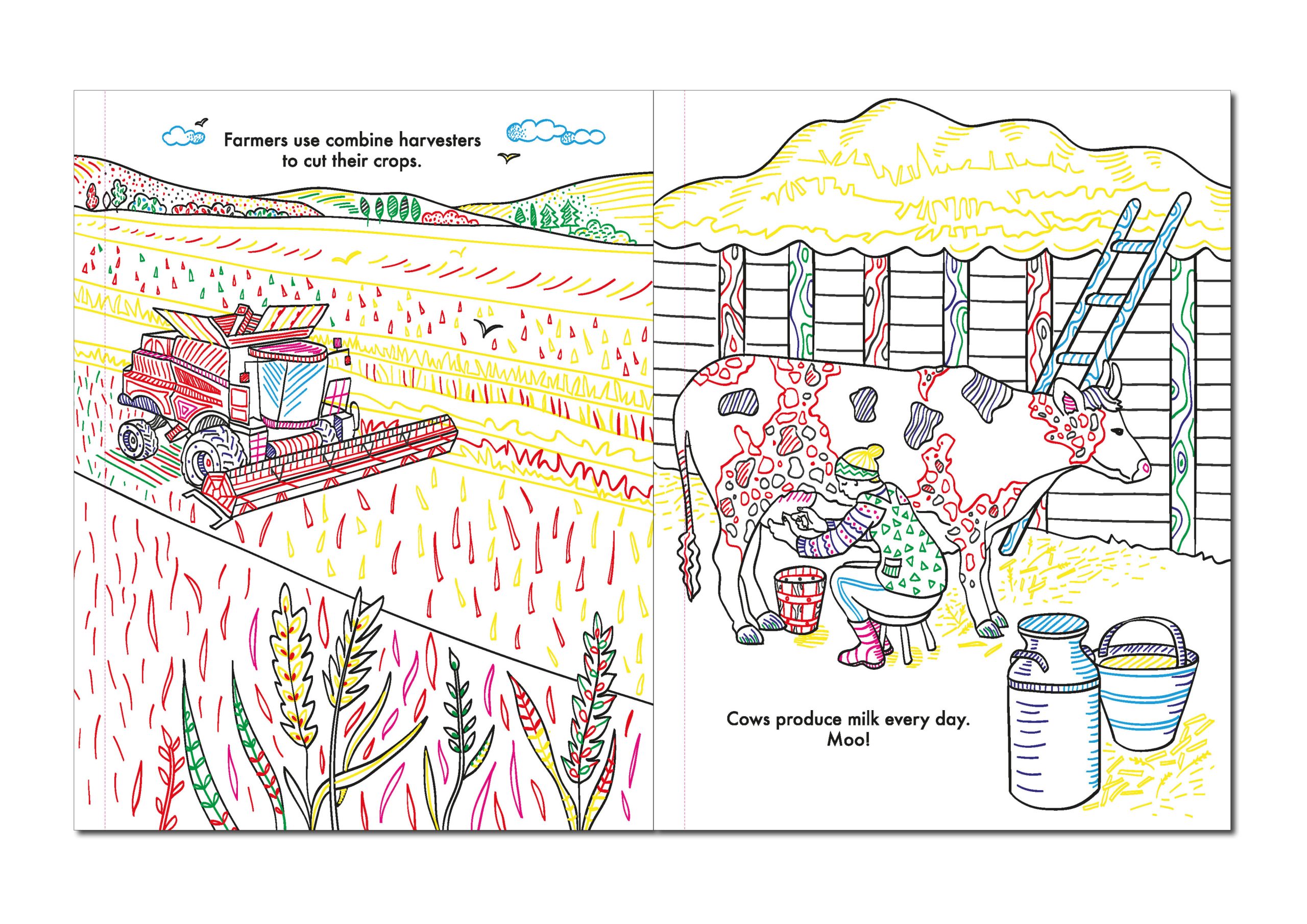 The Scottish Farm Magic Painting Book - Image 3