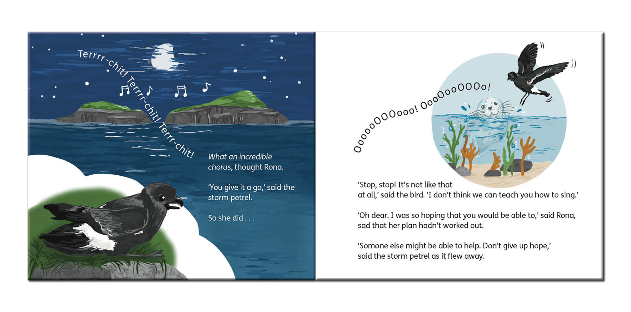 The Seal Who Loved to Sing - Image 4